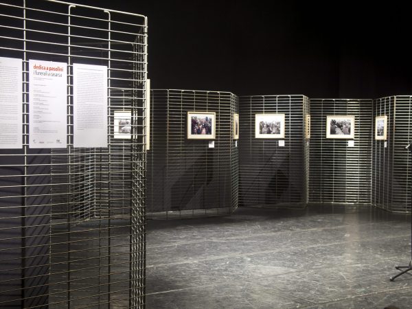 Dedica a Pasolini, 2015